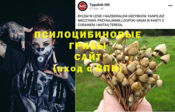 mix Богородицк