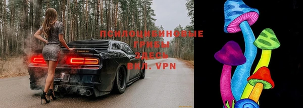 apvp Бронницы
