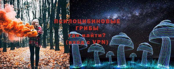 apvp Бронницы
