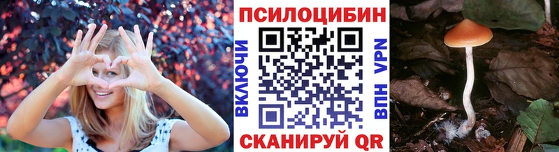Псилоцибиновые грибы мицелий  Усмань 